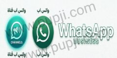 قناة واتس اب ما أهمية واتس اب
